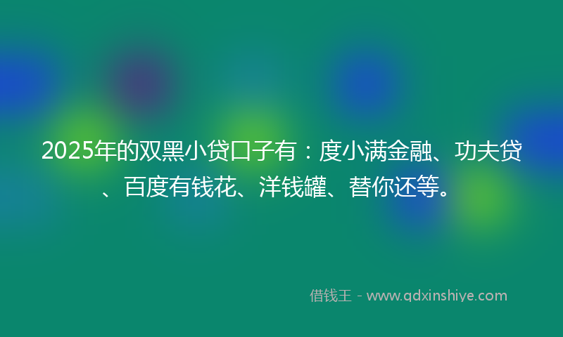 2025年的双黑小贷口子有：度小满金融、功夫贷、百度有钱花、洋钱罐、替你还等。