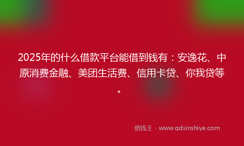 2025年的什么借款平台能借到钱有：安逸花、中原消费金融、美团生活费、信用卡贷、你我贷等。