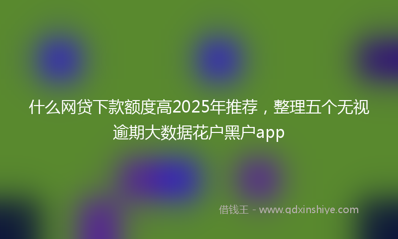 什么网贷下款额度高2025年推荐，整理五个无视逾期大数据花户黑户app
