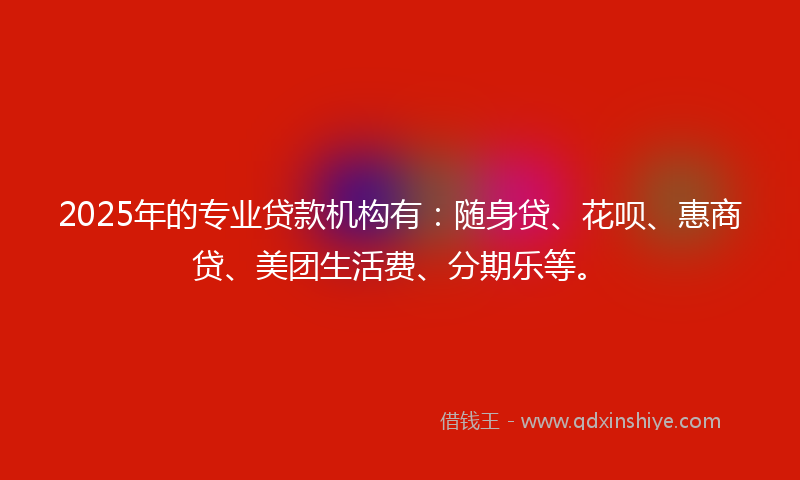 2025年的专业贷款机构有：随身贷、花呗、惠商贷、美团生活费、分期乐等。