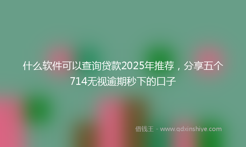 什么软件可以查询贷款2025年推荐，分享五个714无视逾期秒下的口子