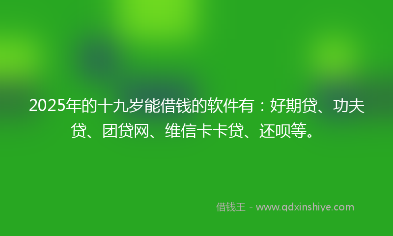 2025年的十九岁能借钱的软件有：好期贷、功夫贷、团贷网、维信卡卡贷、还呗等。