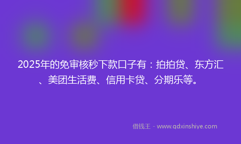 2025年的免审核秒下款口子有：拍拍贷、东方汇、美团生活费、信用卡贷、分期乐等。