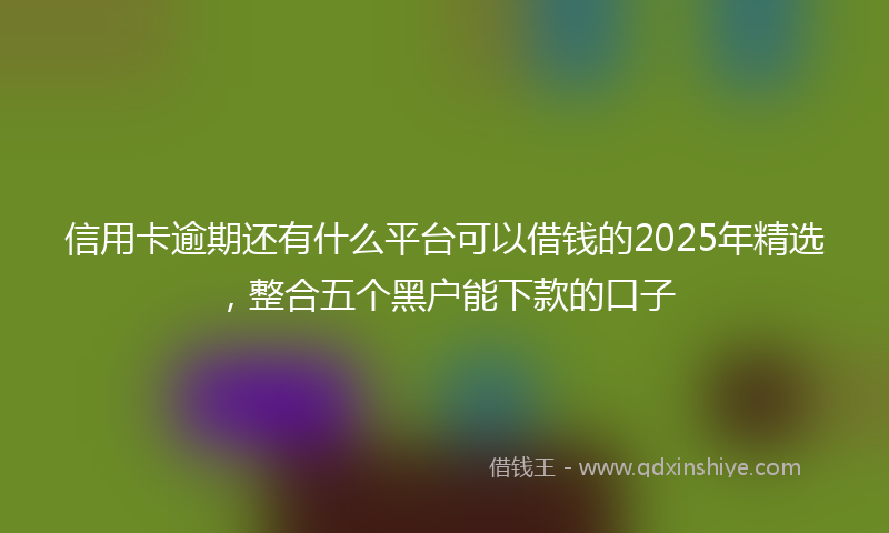 信用卡逾期还有什么平台可以借钱的2025年精选，整合五个黑户能下款的口子