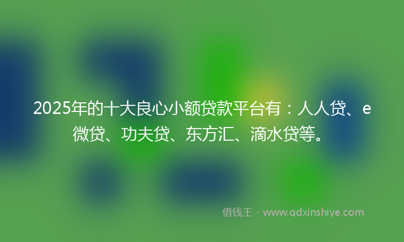 2025年的十大良心小额贷款平台有：人人贷、e微贷、功夫贷、东方汇、滴水贷等。