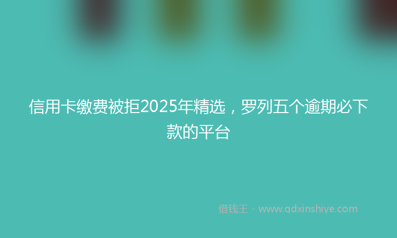 信用卡缴费被拒2025年精选，罗列五个逾期必下款的平台