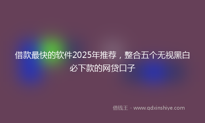借款最快的软件2025年推荐，整合五个无视黑白必下款的网贷口子