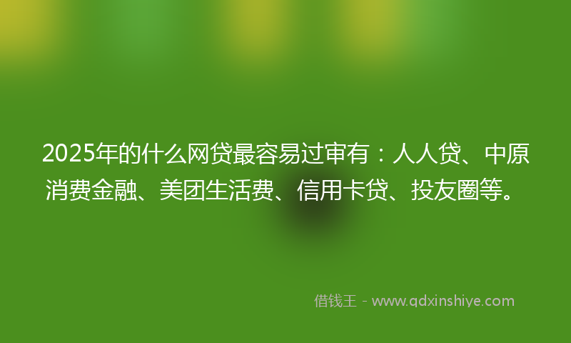 2025年的什么网贷最容易过审有：人人贷、中原消费金融、美团生活费、信用卡贷、投友圈等。