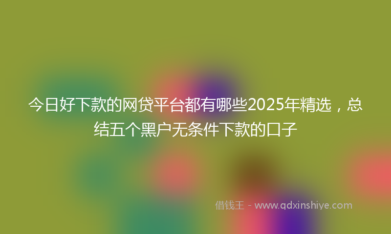 今日好下款的网贷平台都有哪些2025年精选，总结五个黑户无条件下款的口子