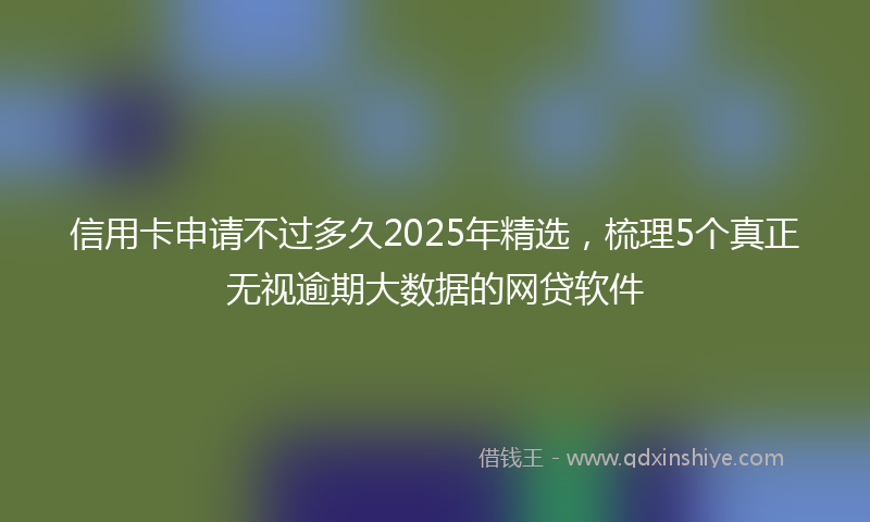 信用卡申请不过多久2025年精选，梳理5个真正无视逾期大数据的网贷软件