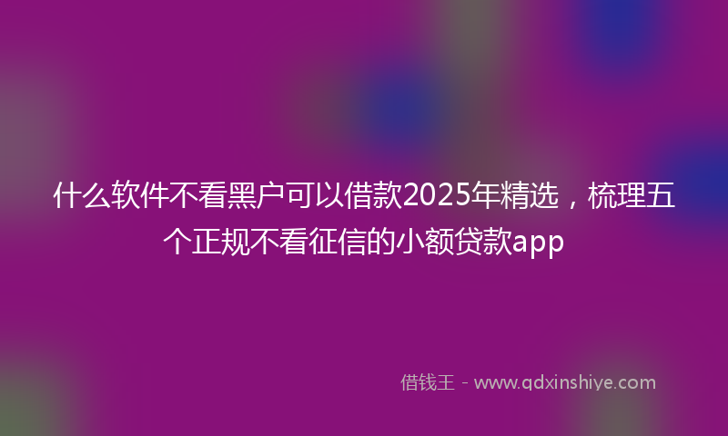 什么软件不看黑户可以借款2025年精选，梳理五个正规不看征信的小额贷款app