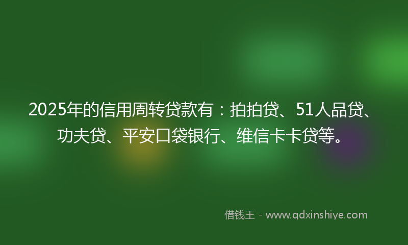 2025年的信用周转贷款有：拍拍贷、51人品贷、功夫贷、平安口袋银行、维信卡卡贷等。