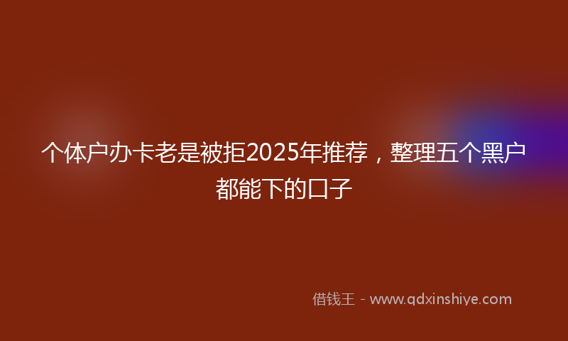 个体户办卡老是被拒2025年推荐，整理五个黑户都能下的口子