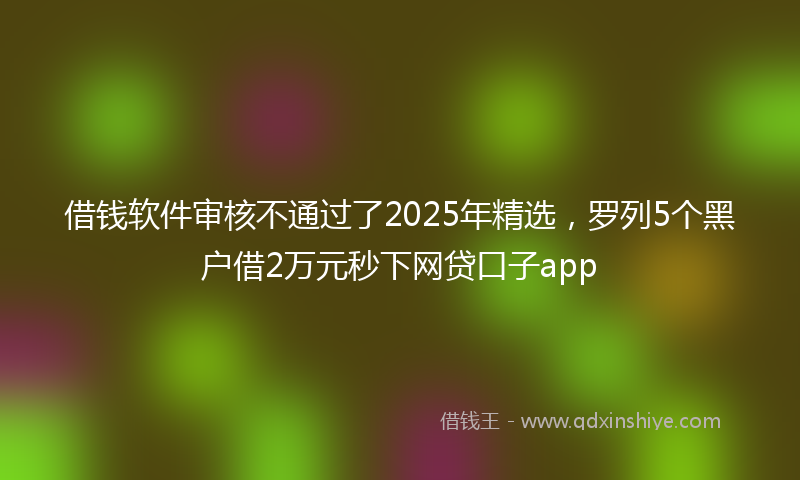 借钱软件审核不通过了2025年精选，罗列5个黑户借2万元秒下网贷口子app