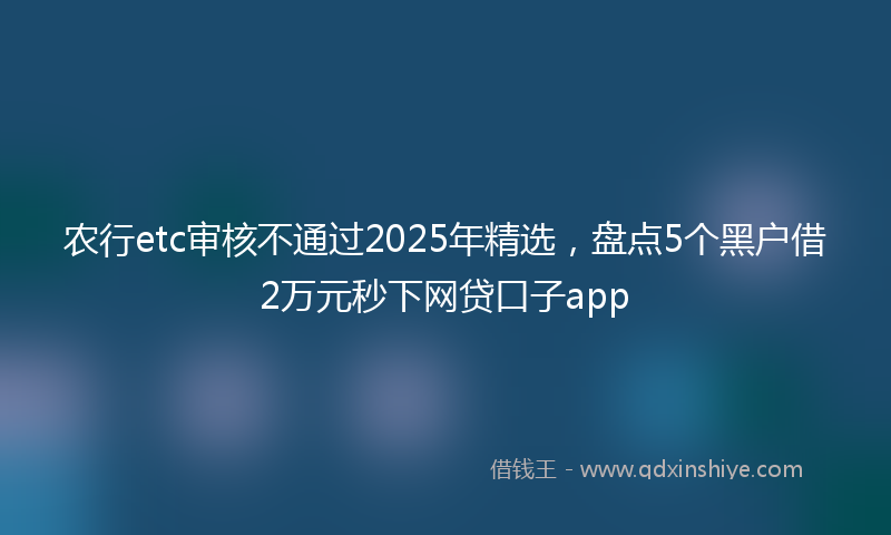农行etc审核不通过2025年精选，盘点5个黑户借2万元秒下网贷口子app