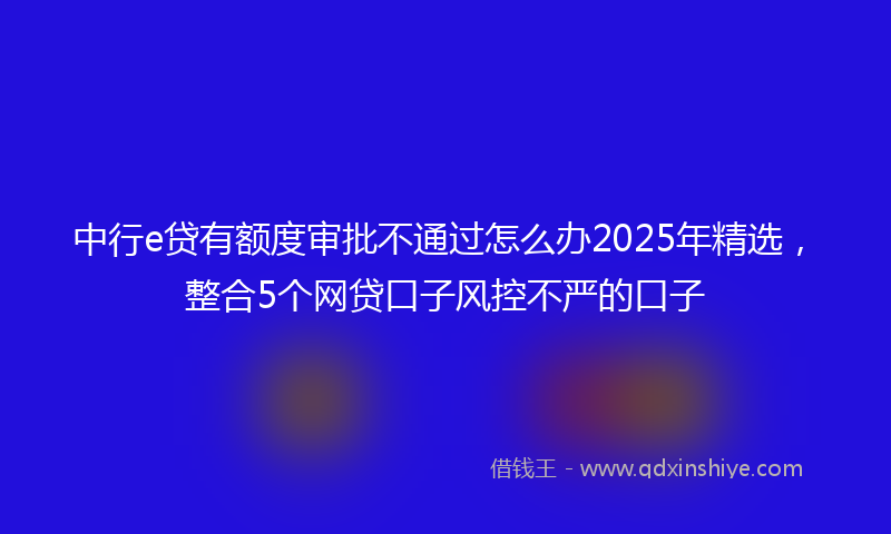 中行e贷有额度审批不通过怎么办2025年精选，整合5个网贷口子风控不严的口子