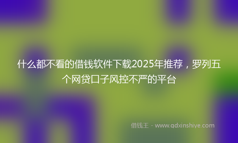 什么都不看的借钱软件下载2025年推荐，罗列五个网贷口子风控不严的平台
