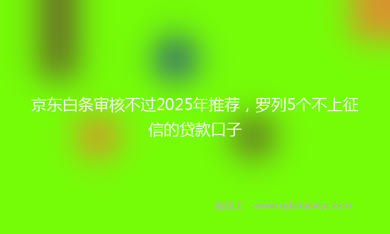 京东白条审核不过2025年推荐，罗列5个不上征信的贷款口子