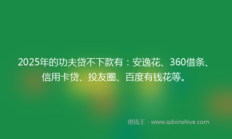 2025年的功夫贷不下款有：安逸花、360借条、信用卡贷、投友圈、百度有钱花等。