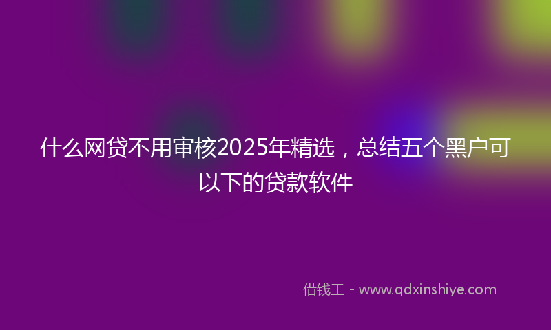 什么网贷不用审核2025年精选，总结五个黑户可以下的贷款软件