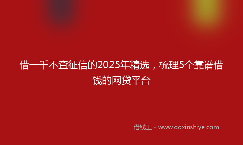 借一千不查征信的2025年精选，梳理5个靠谱借钱的网贷平台