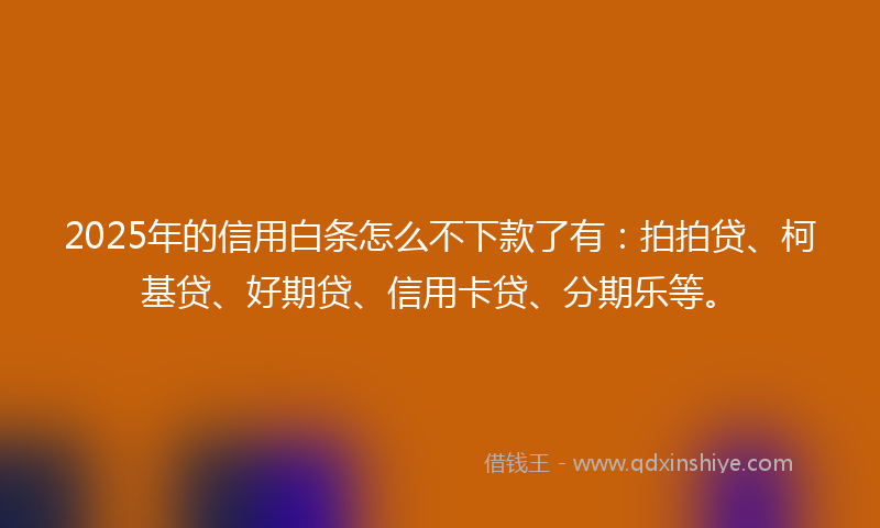 2025年的信用白条怎么不下款了有：拍拍贷、柯基贷、好期贷、信用卡贷、分期乐等。