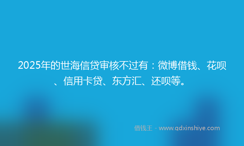 2025年的世海信贷审核不过有：微博借钱、花呗、信用卡贷、东方汇、还呗等。