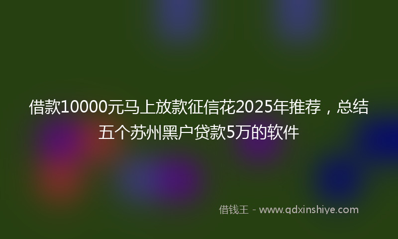 借款10000元马上放款征信花2025年推荐，总结五个苏州黑户贷款5万的软件