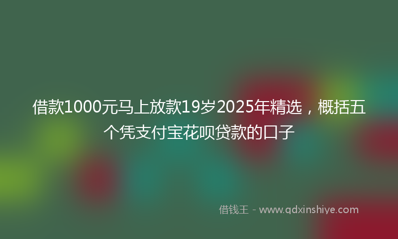 借款1000元马上放款19岁2025年精选，概括五个凭支付宝花呗贷款的口子