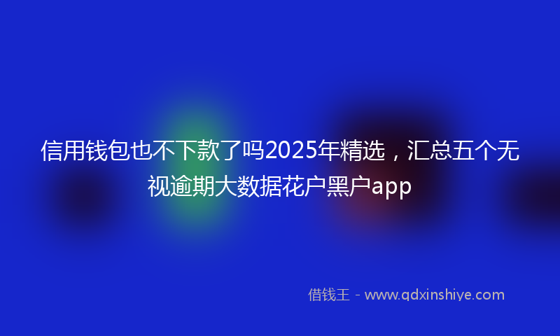 信用钱包也不下款了吗2025年精选，汇总五个无视逾期大数据花户黑户app
