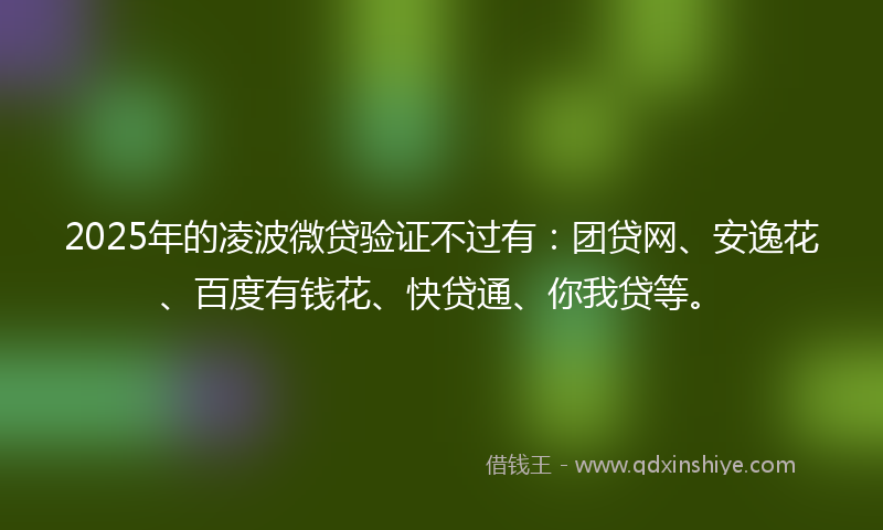 2025年的凌波微贷验证不过有：团贷网、安逸花、百度有钱花、快贷通、你我贷等。