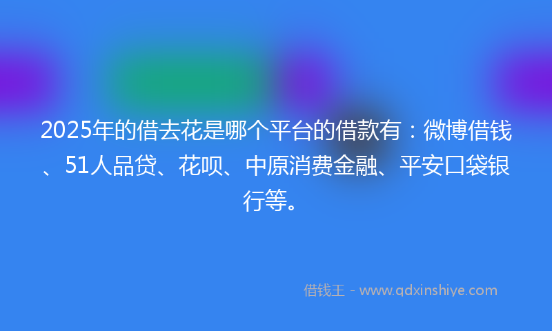 2025年的借去花是哪个平台的借款有：微博借钱、51人品贷、花呗、中原消费金融、平安口袋银行等。