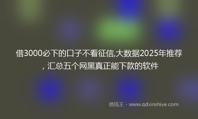 借3000必下的口子不看征信,大数据2025年推荐，汇总五个网黑真正能下款的软件