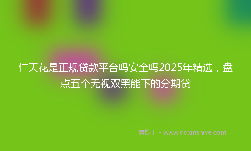 仁天花是正规贷款平台吗安全吗2025年精选，盘点五个无视双黑能下的分期贷