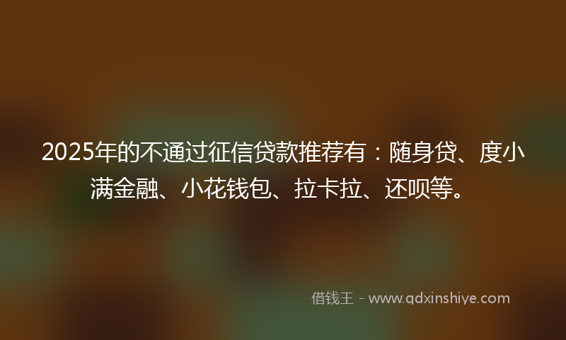 2025年的不通过征信贷款推荐有：随身贷、度小满金融、小花钱包、拉卡拉、还呗等。