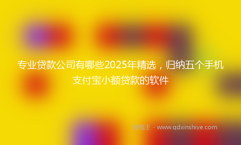 专业贷款公司有哪些2025年精选，归纳五个手机支付宝小额贷款的软件
