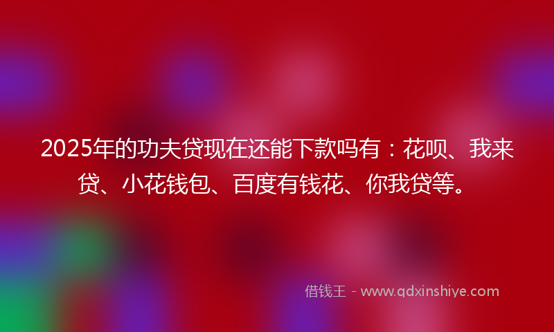 2025年的功夫贷现在还能下款吗有：花呗、我来贷、小花钱包、百度有钱花、你我贷等。