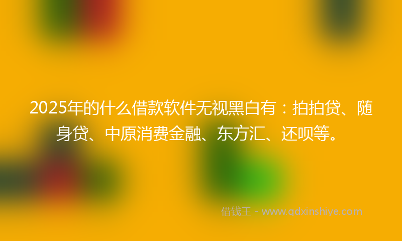 2025年的什么借款软件无视黑白有：拍拍贷、随身贷、中原消费金融、东方汇、还呗等。
