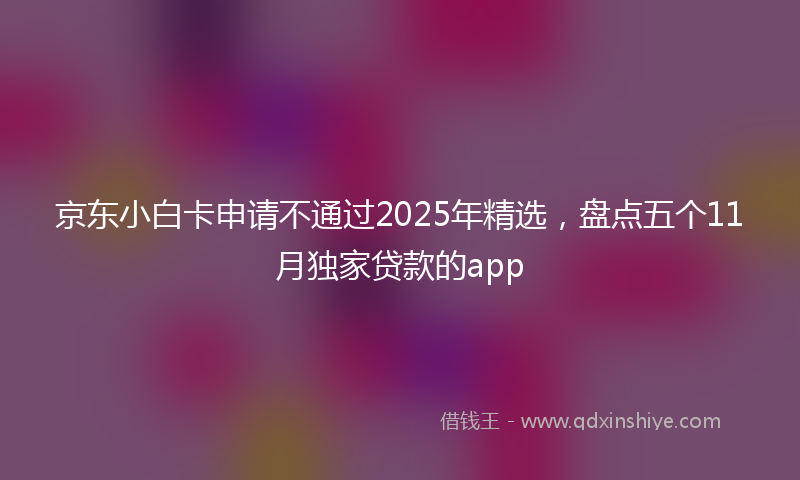 京东小白卡申请不通过2025年精选，盘点五个11月独家贷款的app