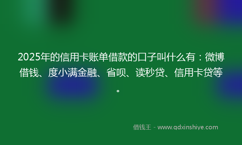 2025年的信用卡账单借款的口子叫什么有：微博借钱、度小满金融、省呗、读秒贷、信用卡贷等。