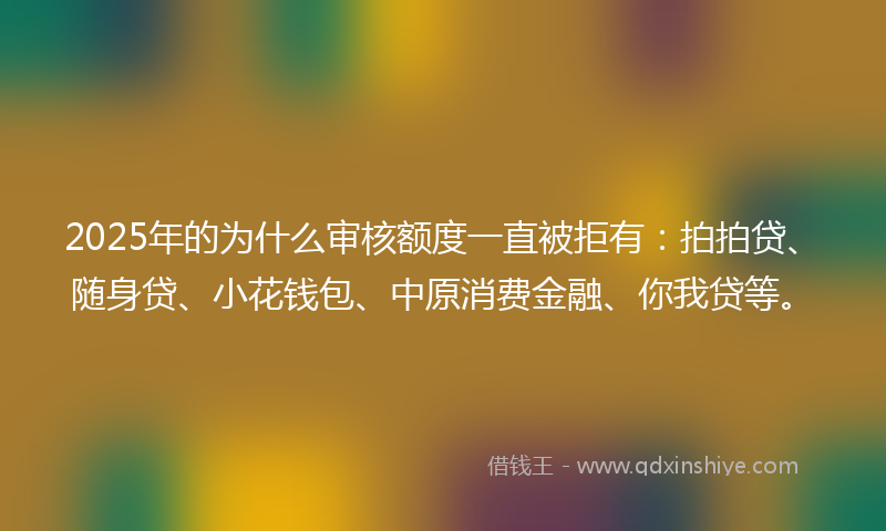 2025年的为什么审核额度一直被拒有：拍拍贷、随身贷、小花钱包、中原消费金融、你我贷等。