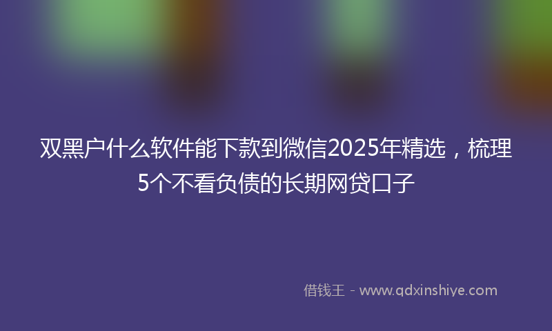 双黑户什么软件能下款到微信2025年精选，梳理5个不看负债的长期网贷口子