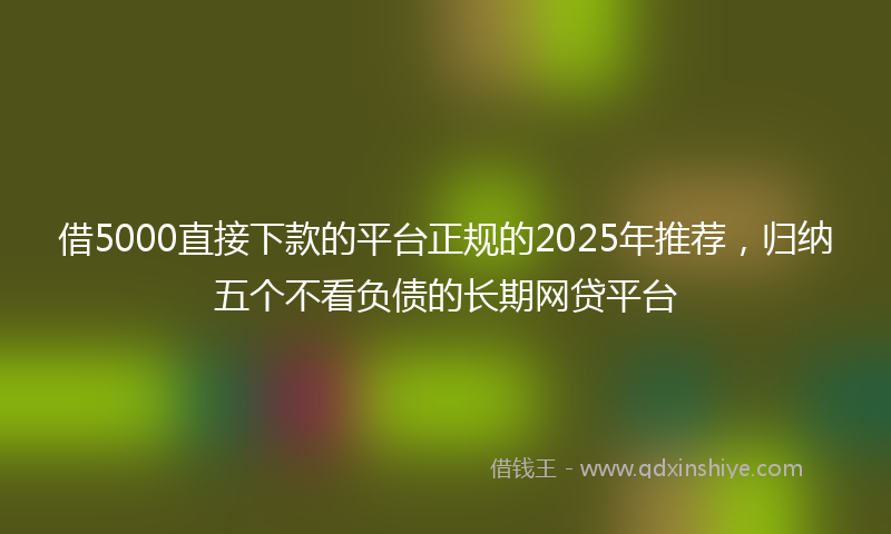 借5000直接下款的平台正规的2025年推荐，归纳五个不看负债的长期网贷平台