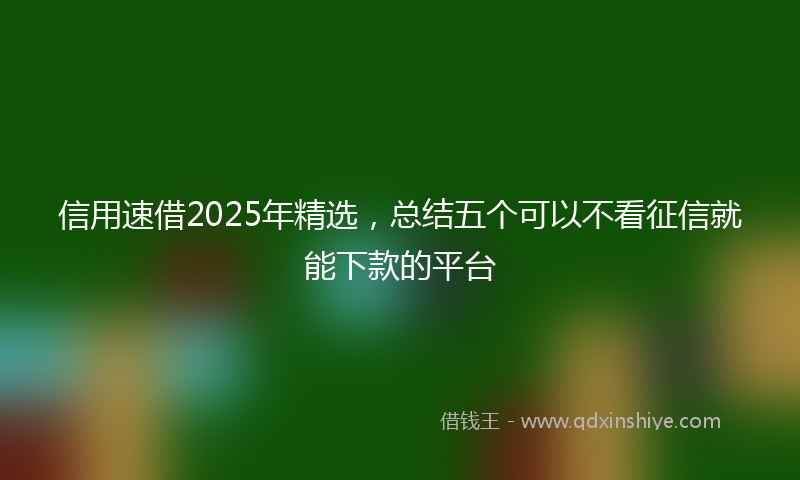 信用速借2025年精选，总结五个可以不看征信就能下款的平台