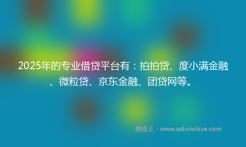 2025年的专业借贷平台有：拍拍贷、度小满金融、微粒贷、京东金融、团贷网等。
