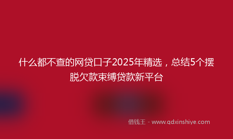 什么都不查的网贷口子2025年精选，总结5个摆脱欠款束缚贷款新平台