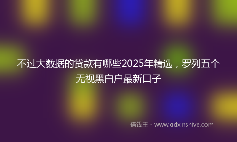 不过大数据的贷款有哪些2025年精选，罗列五个无视黑白户最新口子