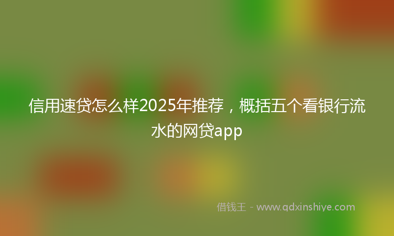 信用速贷怎么样2025年推荐，概括五个看银行流水的网贷app