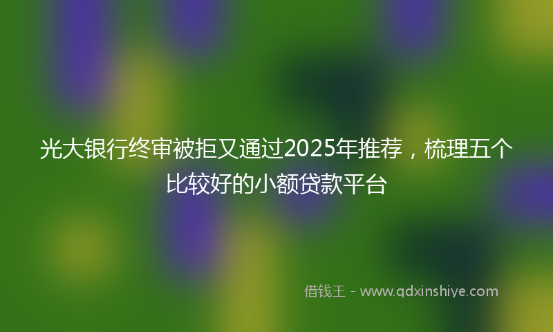 光大银行终审被拒又通过2025年推荐，梳理五个比较好的小额贷款平台