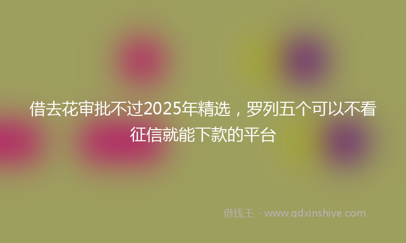 借去花审批不过2025年精选，罗列五个可以不看征信就能下款的平台